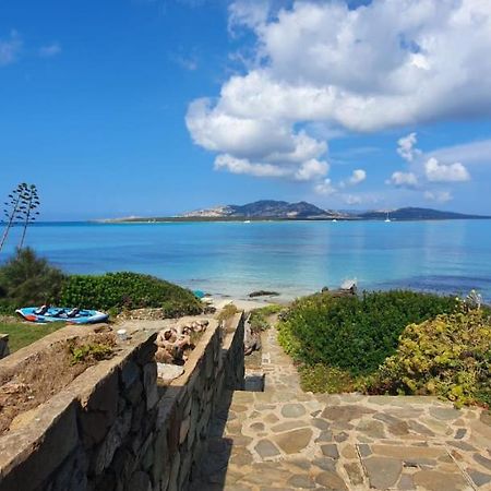 Villa Curiazzi Guesthouse Viale La Pelosa 16 สตินติโน ภายนอก รูปภาพ