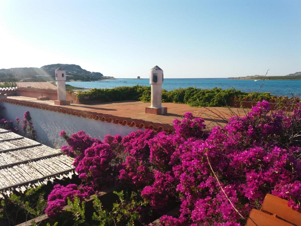 Villa Curiazzi Guesthouse Viale La Pelosa 16 สตินติโน ภายนอก รูปภาพ