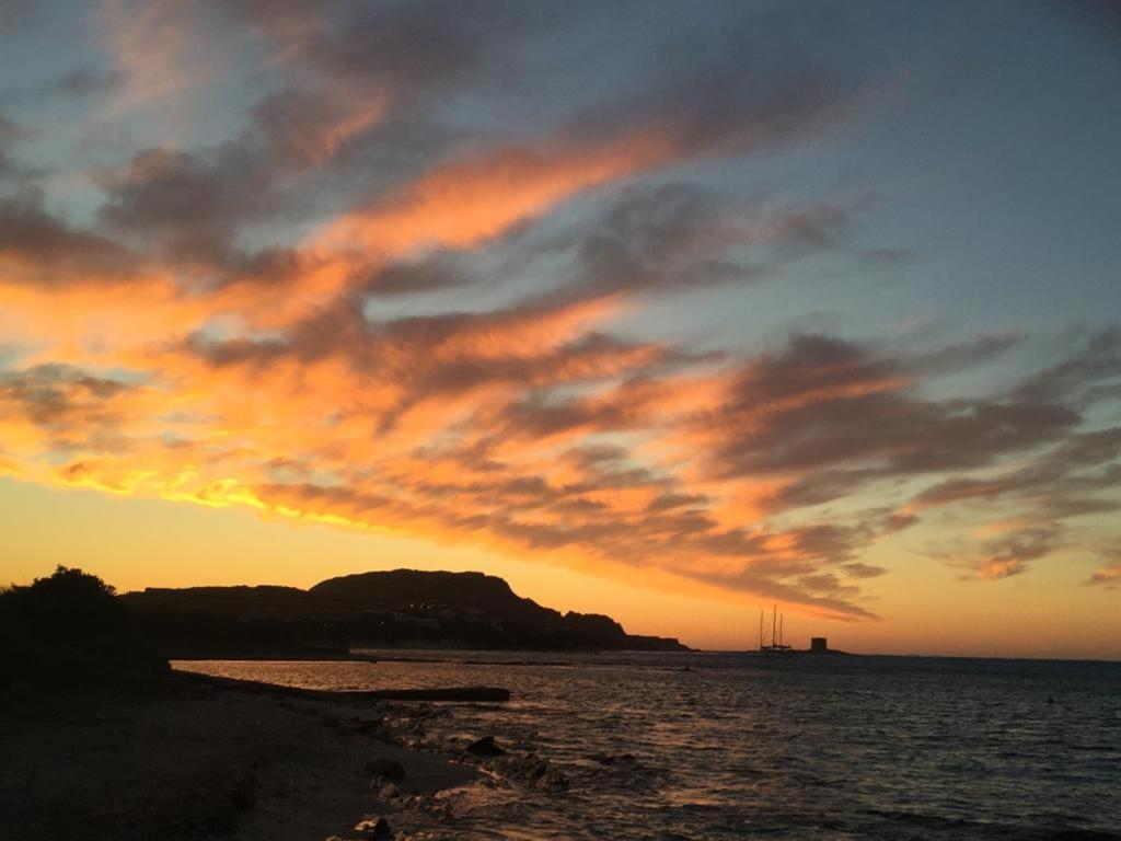 Villa Curiazzi Guesthouse Viale La Pelosa 16 สตินติโน ภายนอก รูปภาพ