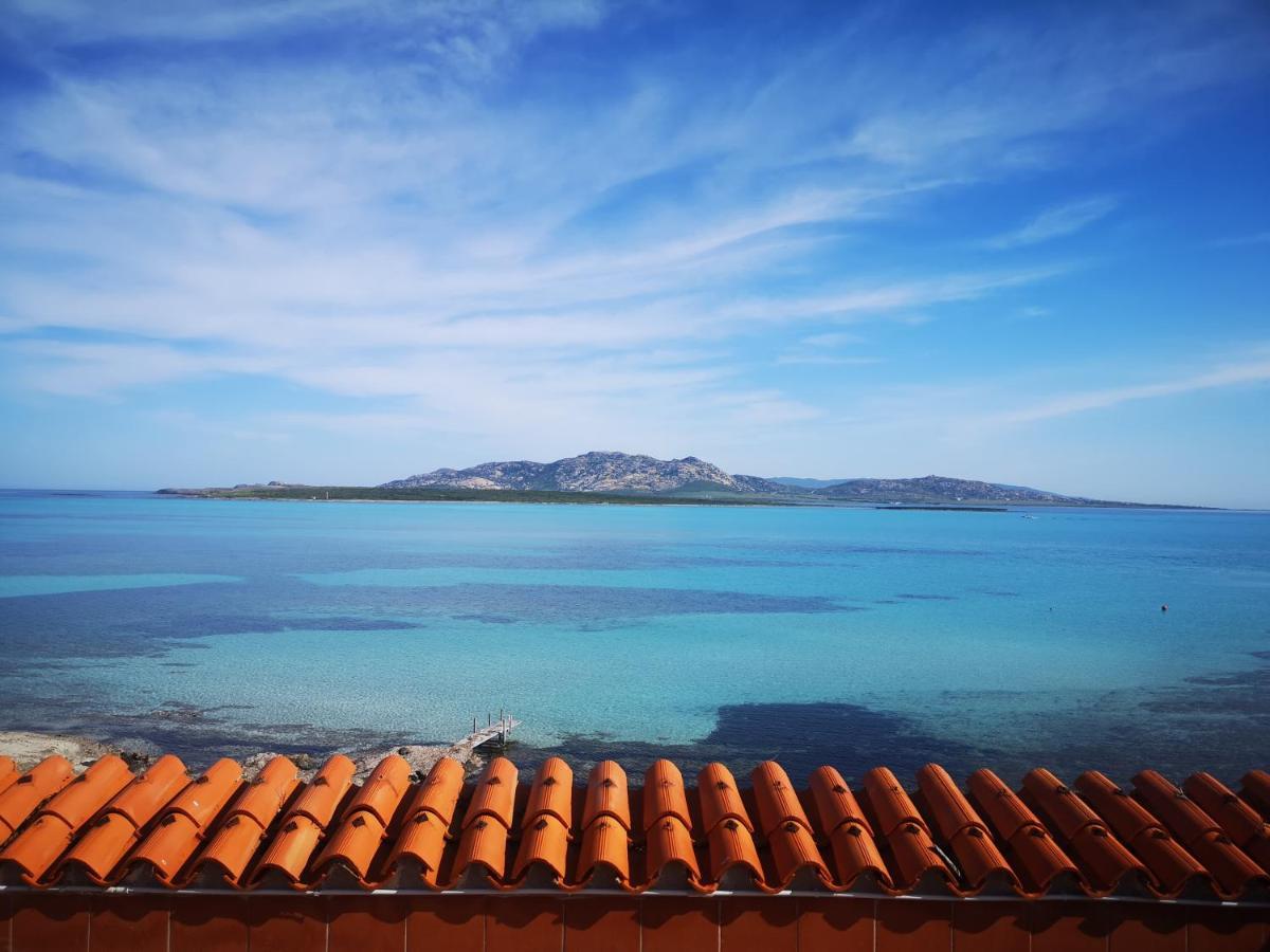 Villa Curiazzi Guesthouse Viale La Pelosa 16 สตินติโน ภายนอก รูปภาพ
