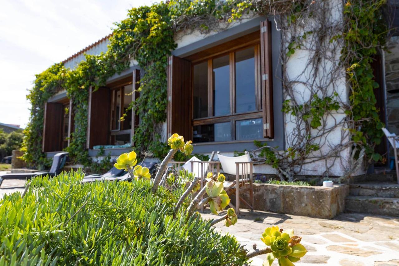 Villa Curiazzi Guesthouse Viale La Pelosa 16 สตินติโน ภายนอก รูปภาพ
