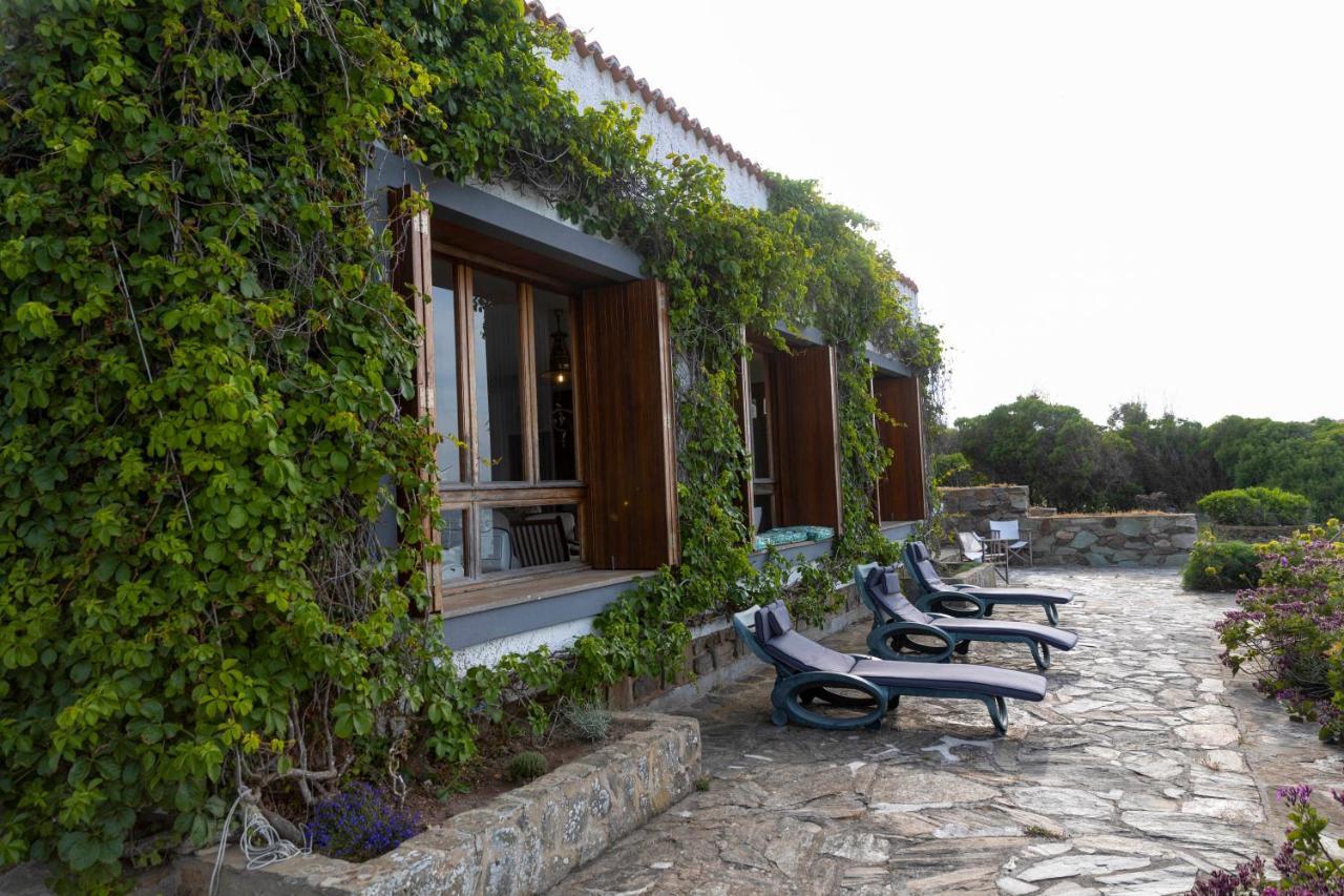 Villa Curiazzi Guesthouse Viale La Pelosa 16 สตินติโน ภายนอก รูปภาพ