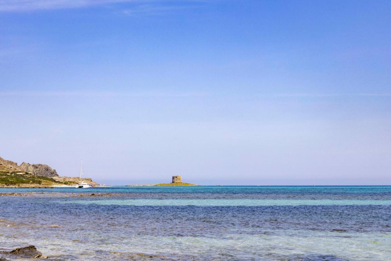 Villa Curiazzi Guesthouse Viale La Pelosa 16 สตินติโน ภายนอก รูปภาพ