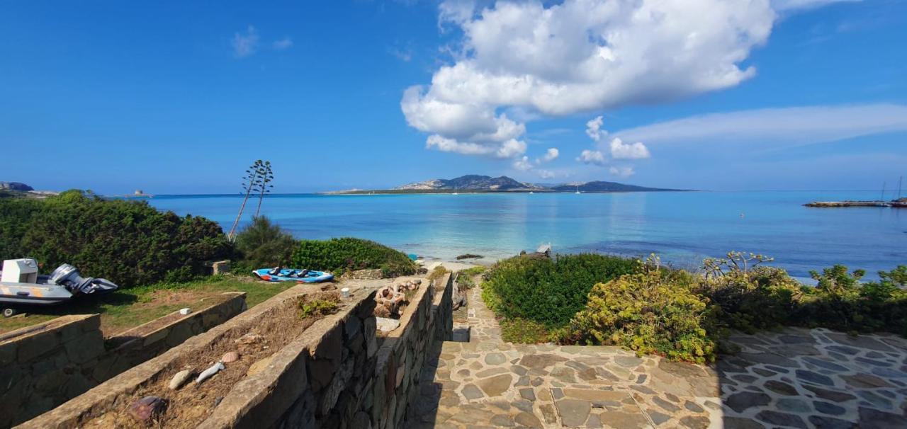 Villa Curiazzi Guesthouse Viale La Pelosa 16 สตินติโน ภายนอก รูปภาพ